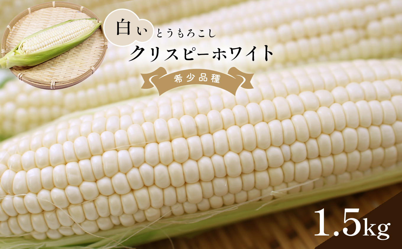 
クリスピーホワイト 白い とうもろこし 約 1.5kg
