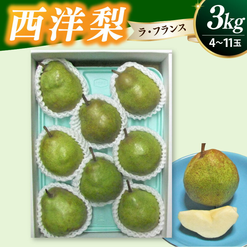 【ふるさと納税】西洋梨 ( ラ・フランス ) 3kg フルーツ 山形県 上山市 0030-2629