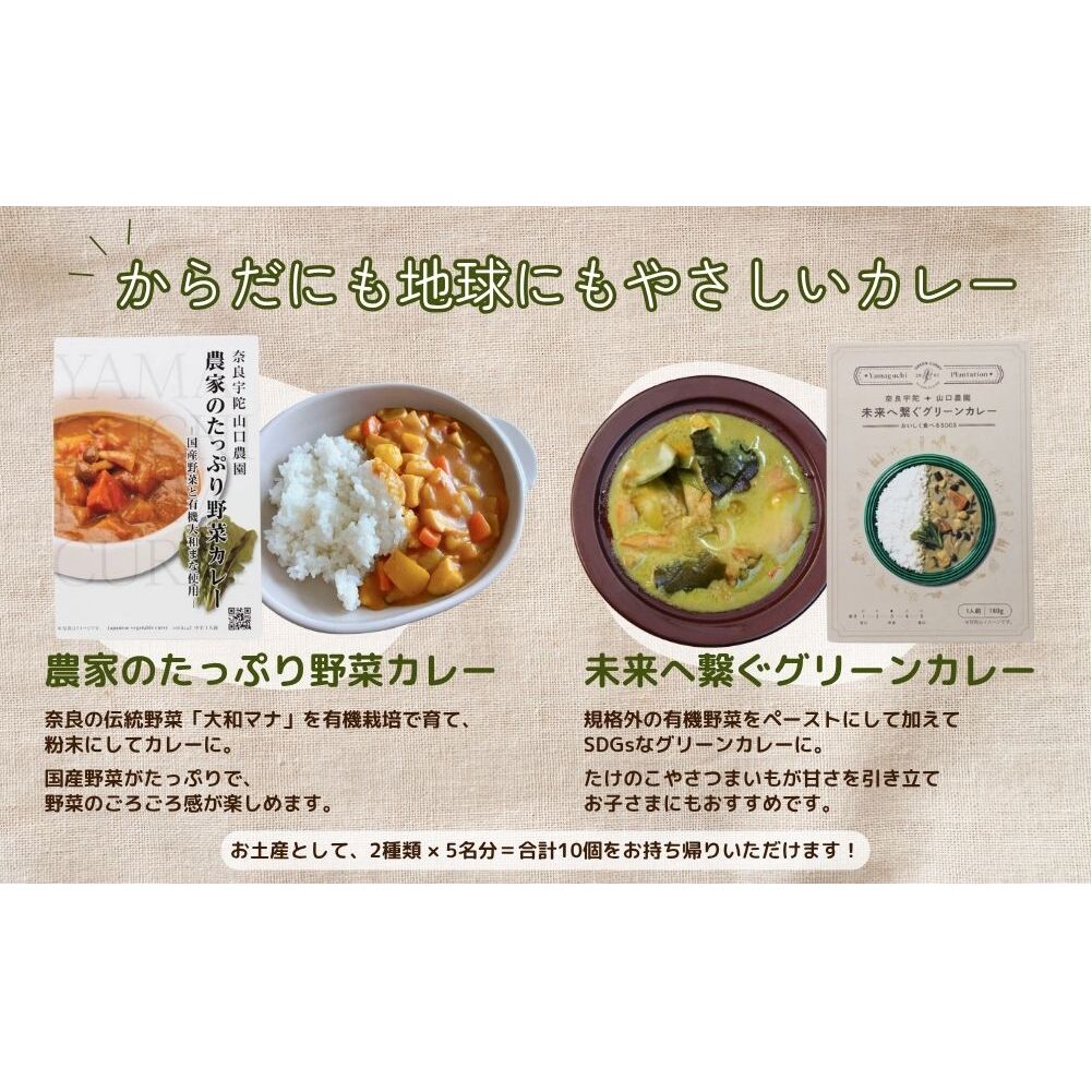 有機農業 圃場見学 ツアー お土産付 5名様迄／ 農業 農家 有機野菜 オーガニック 無農薬 SDGs 関西 体験 チケット カレー 山口農園 奈良県 宇陀市 ふるさと納税_イメージ3