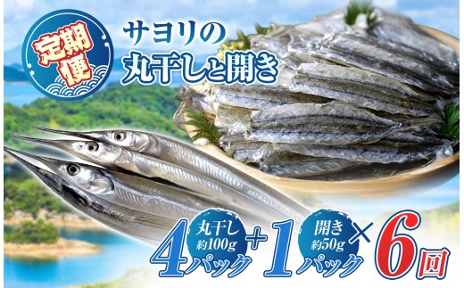 【 定期 】 サヨリ の 丸干し 400g と 開き 50ｇ（赤穂の塩の 使用） 6 回 発送 毎月 お届け便｜ 魚 干物 乾物 つまみ 自然食 うま味 調味料 不使用 珍味 海の幸 瀬戸内 山口県 平生町　