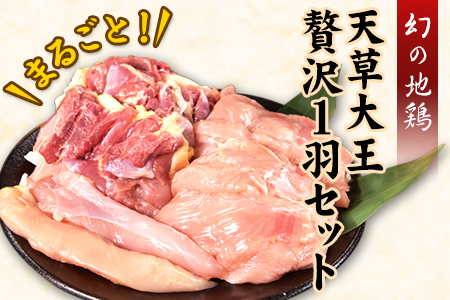 天草大王　贅沢1羽セット《60日以内に出荷予定(土日祝除く)》約1.5kg【幻の地鶏】もも・むね・ささみ 各2枚 熊本県産 あそ大王ファーム株式会社---so_faso1wa_60d_r7_17500_1500g---