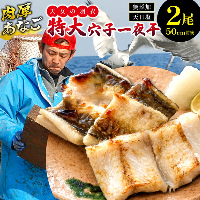 【ふるさと納税】 特大 肉厚 干物 あなご 一夜干 50cm前後 2尾 国産 魚介類 魚 穴子 アナゴ 低塩熟成 低塩 うす塩 天日塩 化学調味料不使用 着色料不使用 無添加 天日塩 冷凍 真空 特産品 お取り寄せ グルメ 贈答 ギフト プレゼント 父の日 母の日