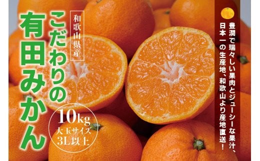 【農家直送】有田みかん 約10kg 大玉3L以上 有機質肥料100% ※2025年12月初旬～12月末に順次発送(お届け日指定不可) /みかん ミカン 温州みかん 柑橘 有田 和歌山 産地直送【nuk139E】