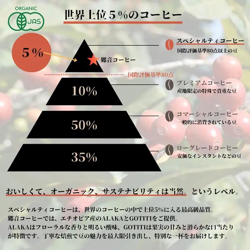 スペシャルティコーヒー焙煎豆 浅煎り 300g 定期便 全12回 12か月【毎月配送コース】