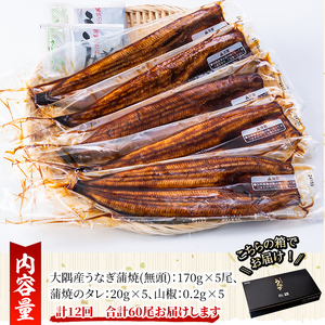 【定期便12回】大隅特産うなぎ蒲焼５尾（850g）【国産】 2490