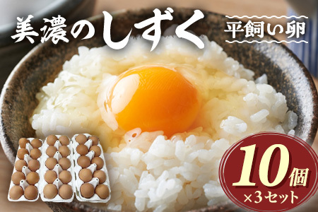 ふるなび限定【定期便6回】新鮮たまご 郡上八幡コケコッコ村の地養卵『美濃のしずく』30個入×6ヶ月 FN-Limited