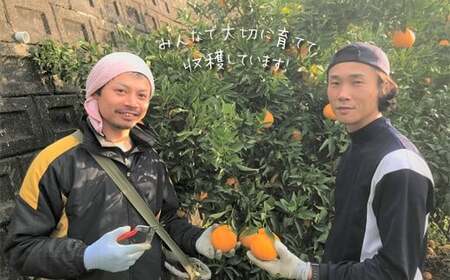 ≪ご家庭用≫ 不知火 約3kg