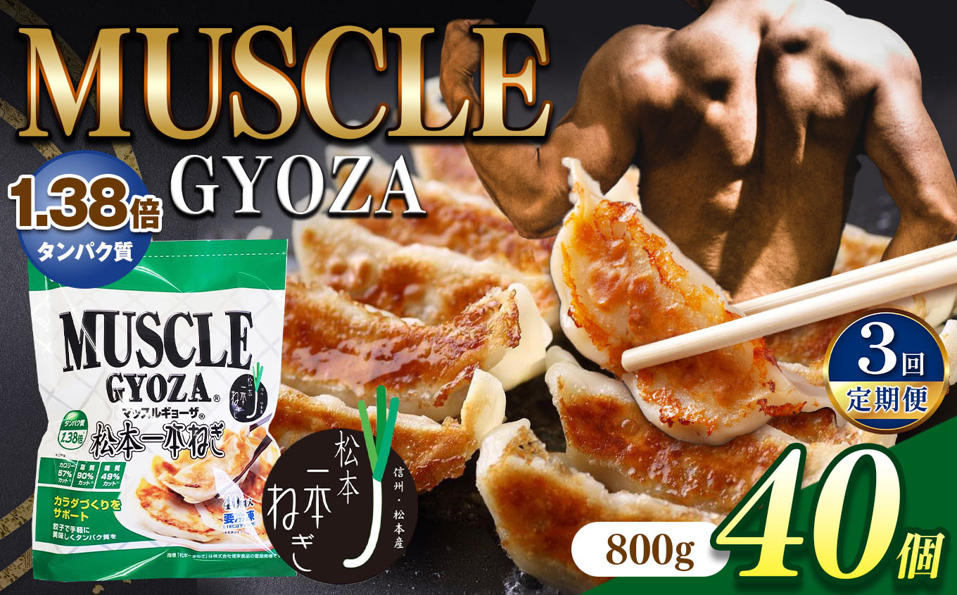
            【定期便3回】MUSCLE GYOZA ～マッスルギョーザ～ 松本一本ねぎ（40個入り） | 餃子 ギョーザ 高タンパク 低糖質 低脂質 低カロリー マッスルギョーザ 長野県 松本市 信州産 ふるさと納税
          