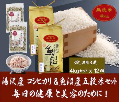 【12ヶ月定期便】令和5年産 湯沢産コシヒカリ＜無洗米＞4kg（2㎏×2袋）と「日本で唯一」魚沼産五穀米セット400g（200g×2袋）魚沼最上流域 魚沼産コシヒカリ