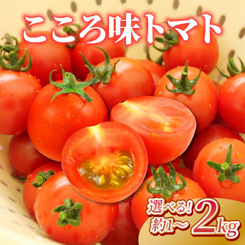 【ふるさと納税】 トマト プチ プチトマト ミニトマト 新鮮 摘みたて 就労支援 こころみファーム こころ味トマト