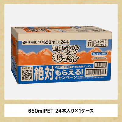 ふるさと納税 川南町 【毎月定期便】健康ミネラル むぎ茶 カフェインゼロ650ml×24本(川南町)全3回 |  | 02