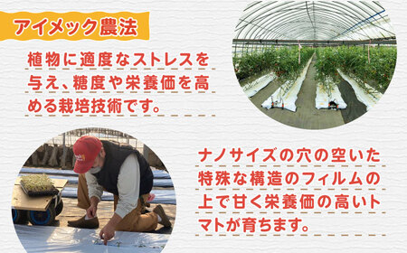 ミディアムトマト バラ 2箱（1.5kg×2種）《壱岐市》【ISLAND FARM】 トマト 生鮮 野菜 夏 19000 19000円 [JFL002] コダワリトマト こだわりトマト おすすめトマト