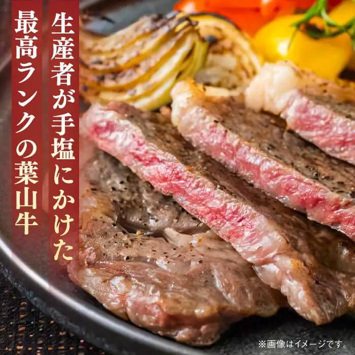 葉山牛 500g　サーロインステーキ ／ サーロイン [ASBD008]