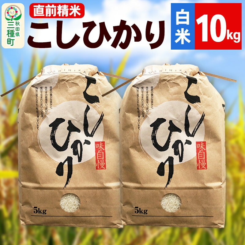 【ふるさと納税】《新米》【精米】こしひかり 10kg（5kg×2袋）令和7年産 米 秋田県 三種町産