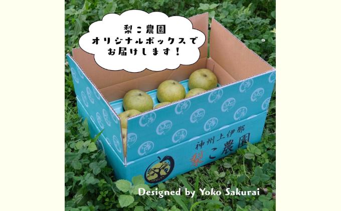 信州産 梨 安心安全の南水 約 3kg (8玉前後) フルーツ 果物 長野 長野県産 信州産 デザート おすすめ 特産 産地直送