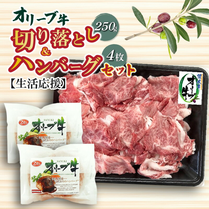 【ふるさと納税】生活応援 オリーブ牛 切り落とし 250g ハンバーグ 100g×4枚 ハンバーグソース 20g 4袋 セット 讃岐牛 肉 牛肉 赤味肉 冷凍 お土産 ギフト 香川県 三豊市 お取り寄せグルメ お取り寄せ 送料無料 秋 旬