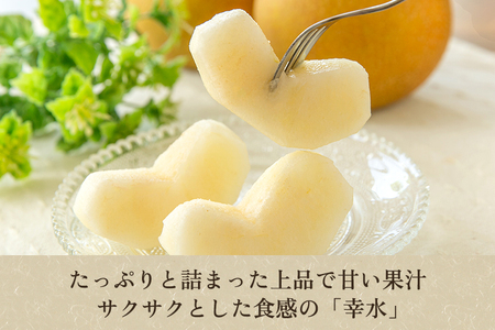 【2024年先行予約】新潟県産 和梨 幸水 10Kg（20～32玉） 《8月中旬以降発送》こうすい 果物 フルーツギフト 秋の味覚 加茂市 梨工房みつば会 梨 梨 梨 梨 梨