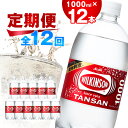 【ふるさと納税】【毎月定期便】【12か月お届け】ウィルキンソン タンサン 1000ml【12本入】アサヒ飲料全12回【4050124】