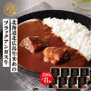 【ふるさと納税】北海道 北広島産 ブラックアンガス牛 宮北牧場 カレー 1人前200g×8箱 レトルト ビーフカレー 中辛 牛肉 惣菜 個包装 おかず 国産 送料無料