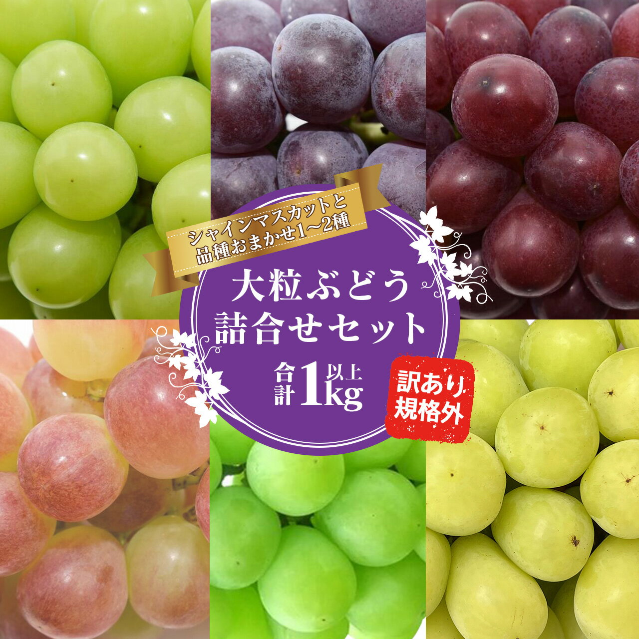 【ふるさと納税】《ご家庭用》シャインマスカットとお任せ1品種 ぶどう 詰合せ セット 計1kg【2025年9月中旬頃〜10月下旬頃発送予定】2025年産 令和7年産 訳あり 規格外 自宅用 SDGs フードロス 農家直送 生産者直送 山形県産 山形産 産地直送 果物 フルーツ 葡萄 東北 1キロ