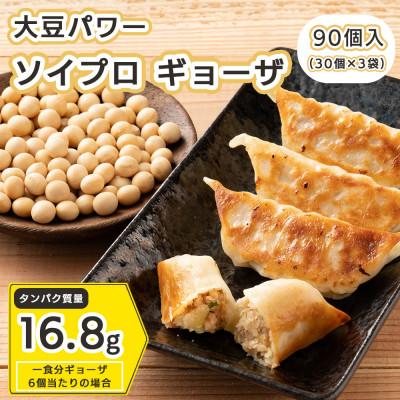 ふるさと納税 静岡市 居酒屋監修 ガツンと美味しい ソイプロテイン餃子(30個入×3袋)