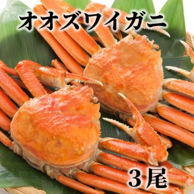 ふるさと納税 紋別市 北海道産　ボイルオオズワイガニ姿　3尾