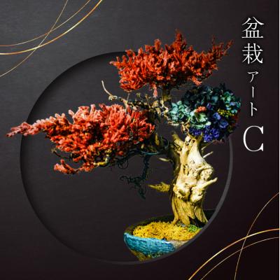 ふるさと納税 可児市 盆栽アート【C】