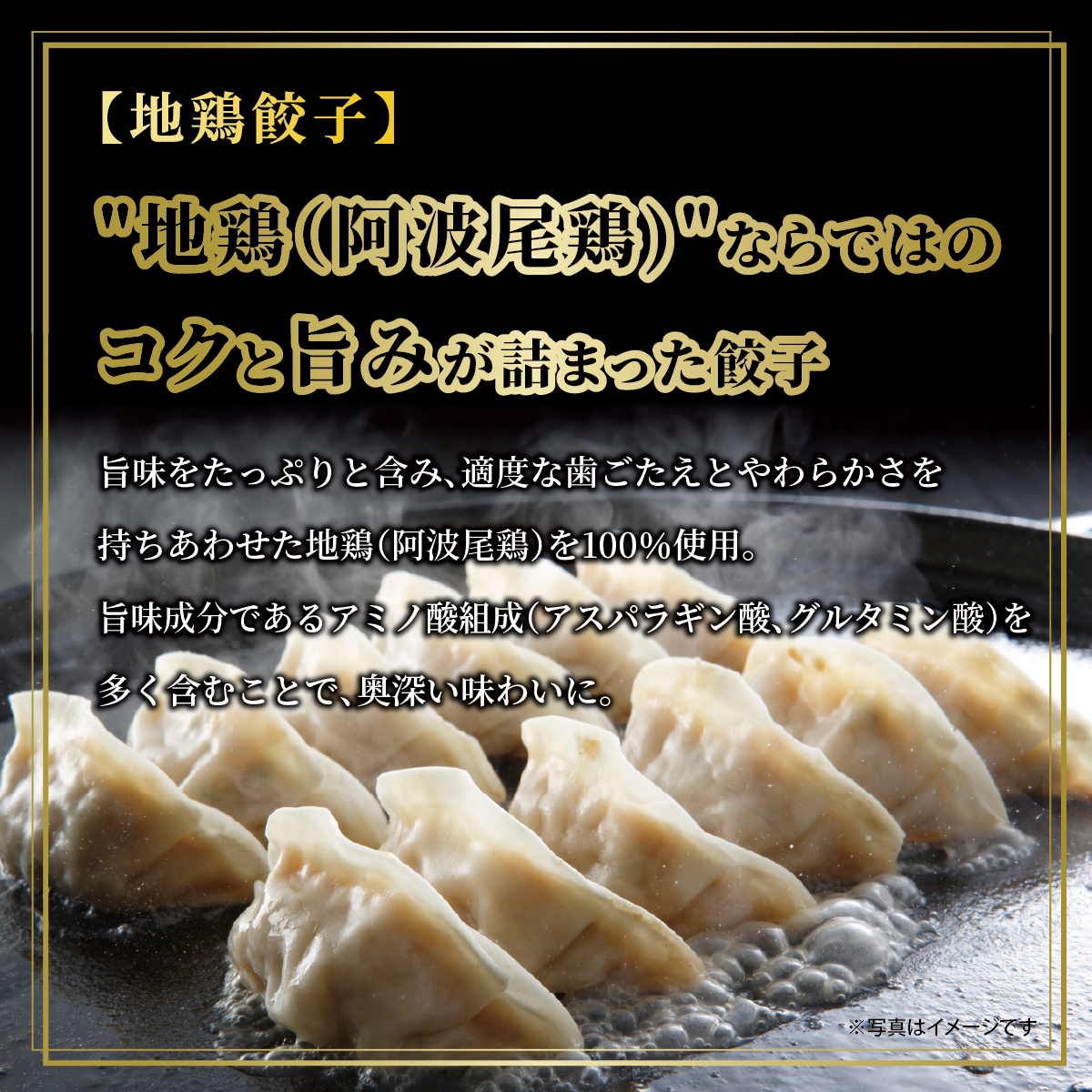 黒豚餃子・地鶏餃子 各1折セット：熨斗なし