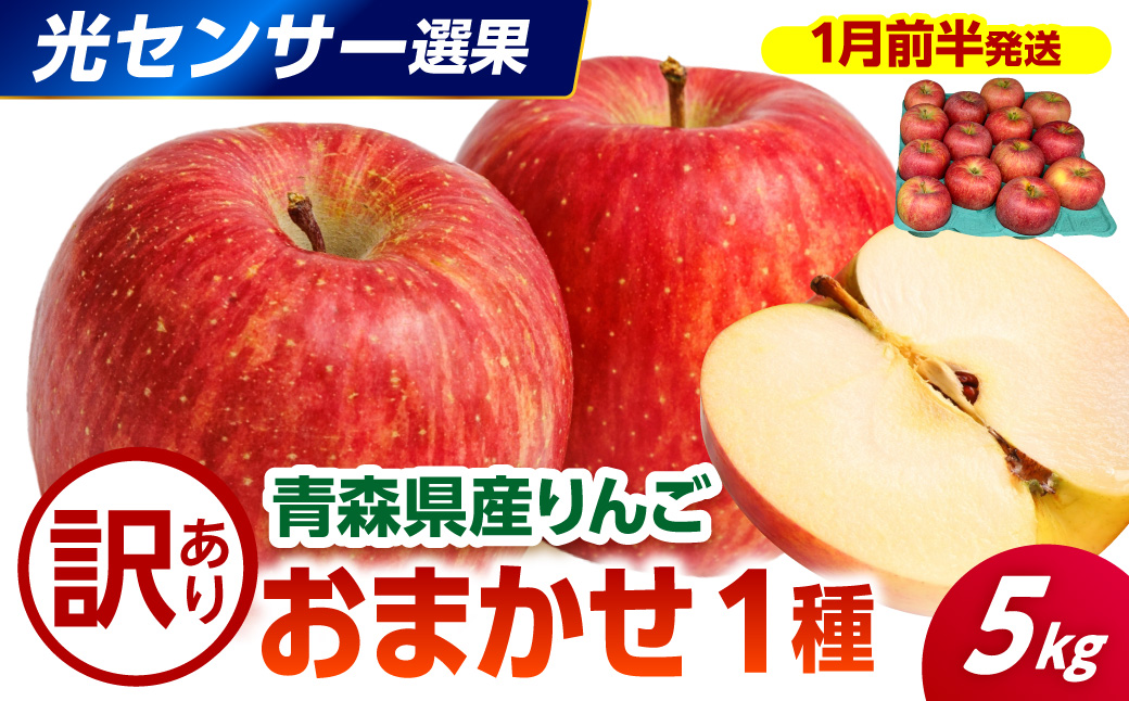 【2027年1月前半発送】 【訳あり】 りんご 約5kg 品種おまかせ1種 青森産