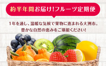 フルーツ定期便【全6回】2027年1月から発送 定期便 [AGBN052]