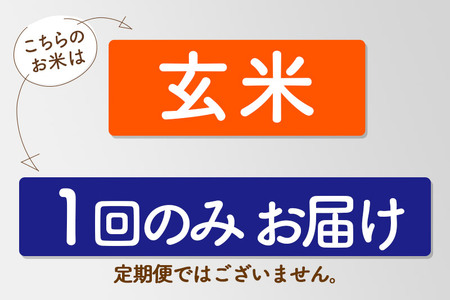 【玄米】令和6年産 新米予約 有機アイガモ農法コシヒカリ 5kg×1袋 金井農園