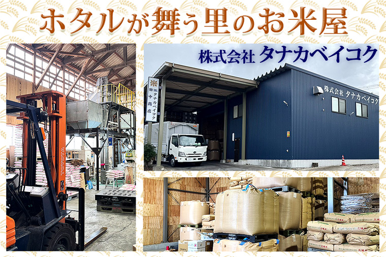 米 にじのきらめき 精米 20kg 先行予約 令和8年産 茨城県産 お米 こめ コメ ごはん 白米 ニジノキラメキ 茨城県産米 単一米 単一原料米 安心 安全 送料無料 国産 人気 数量限定 高評価（85-R8i229）