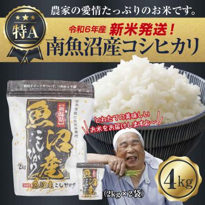 ふるさと納税 南魚沼市 令和7年産 新潟県 南魚沼産 コシヒカリ 4kg (美味しいお米の炊き方ガイド付き)