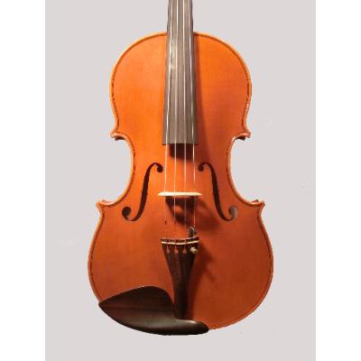 ふるさと納税 ふじみ野市 ビオラ　1挺　(ヴィオラ)