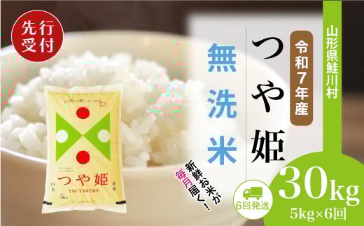 ＜令和7年産米先行受付＞ 鮭川村 特別栽培米 つや姫 【無洗米】 定期便 30kg （5kg×1ヶ月間隔で6回お届け）＜配送時期選べます＞
