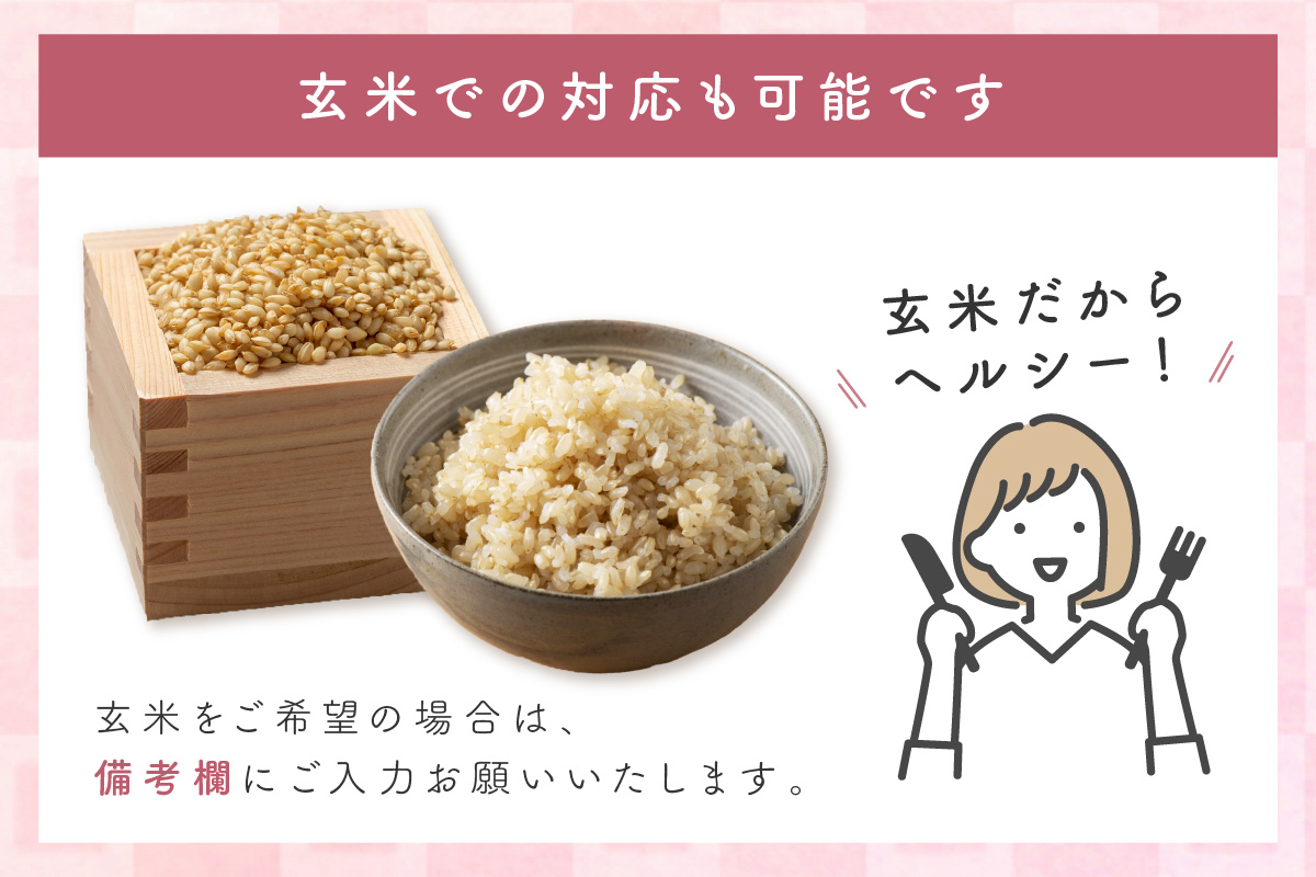 【令和7年産】【新米先行予約】浜田市金城町産こしひかり(2kg×1袋)・きぬむすめ(2kg×1袋)<2025年11月より配送開始> 米 お米 精米 白米 コシヒカリ きぬむすめ ごはん 新生活 応援