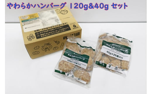 やわらかハンバーグ120g & 40g セット