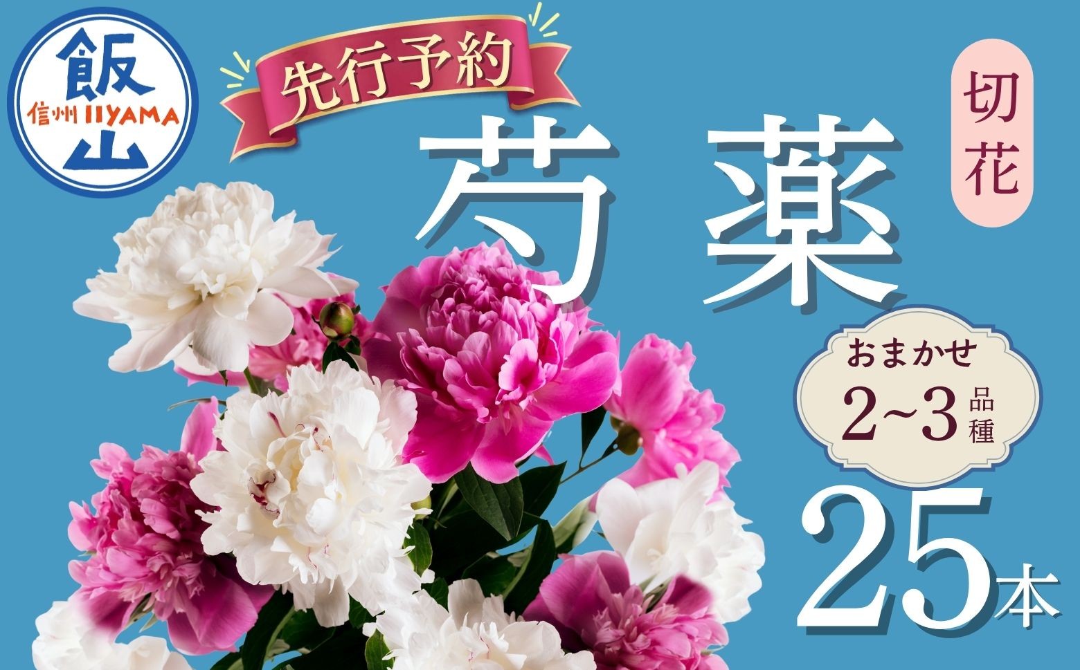 
                  【先行予約】芍薬 切花 おまかせ2〜3品種 25本セット 《出荷時期：2027年5月上旬より》木内ファーム｜ 長野県 飯山市 花 はな フラワー プレゼント ギフト 母の日 しゃくやく シャクヤク（Ca-001) 
                