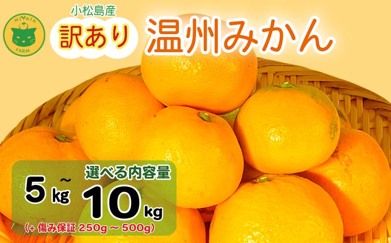 
                  【2025年11月順次発送】 訳あり みかん 温州みかん5kg/10kg （+傷み保証250g～500g） ミカン 蜜柑 甘い フルーツ 柑橘 ジュース 小松島市 オススメ 人気 ふるさと納税 5kg 10kg
                