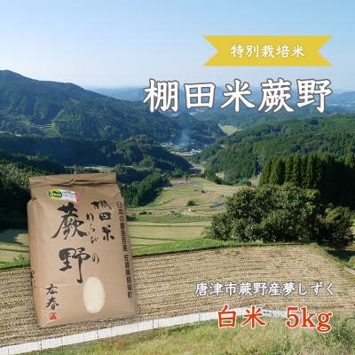 ふるさと納税 唐津市 【令和8年産】特別栽培米「棚田米蕨野」5kg(5kg×1袋)　