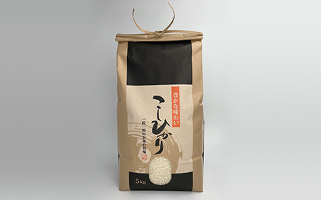 《先行予約》令和7年産 山形県産米 コシヒカリ 5kg こしひかり 精米 米 お米 おこめ 山形県 新庄市 F3S-2508