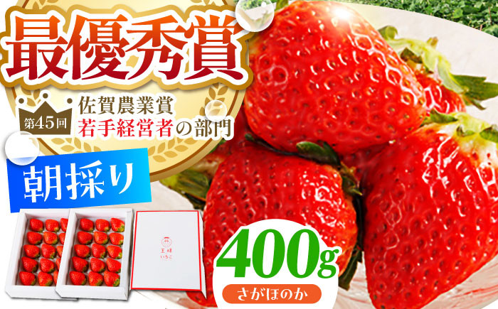 
            【農薬0への挑戦】【1～2月発送】王様のいちご さがほのか 400g 1箱【むらおか農園】 [HAF014]
          