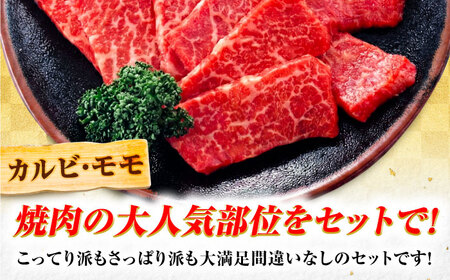 飛騨牛 A5等級 焼肉用 カルビ・モモ 500g カルビ カルビ焼肉 カルビ肉 もも肉 焼肉 焼き肉 やきにく 焼肉セット 焼肉用 赤身 最高級 a5 A5 牛 和牛 牛肉 お肉 高級 贈答ギフト 岐