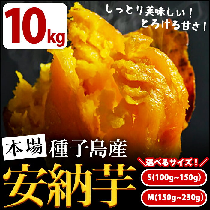 【ふるさと納税】＜先行予約受付中！2026年11月頃より順次発送予定＞サイズが選べる！種子島産 安納芋(S〜Mサイズ・10kg) さつまいも さつま芋 蜜芋 特産品 いも イモ 安納いも 野菜 スイーツ おやつ 本場 焼芋 焼き芋 生芋 【JA種子屋久】※北海道・沖縄配送不可※