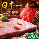 【ふるさと納税】平戸和牛サーロインステーキ500g・ロース焼肉用200g[KAD300]