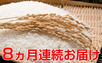 
新米！【8ヶ月連続】つきたて自家製精米　減農薬コシヒカリ　5kg
