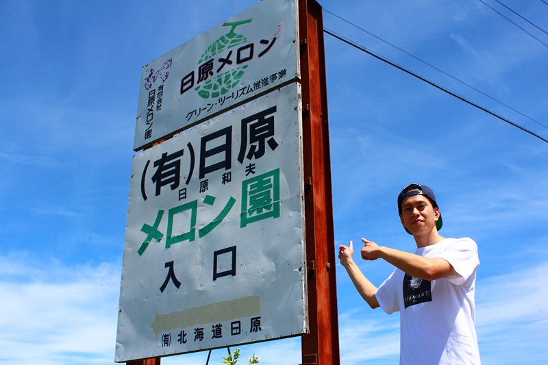 【先行予約】極上の一品「日原メロン」1玉×2品種食べ比べ定期便 北海道産赤肉メロン