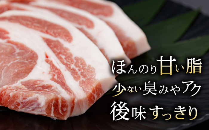 【2回定期便】諫美豚のロースステーキセット800g / 諫美豚 ロース ロースステーキ ステーキ 豚肉 / 諫早市 / 株式会社土井農場 [AHAD034]