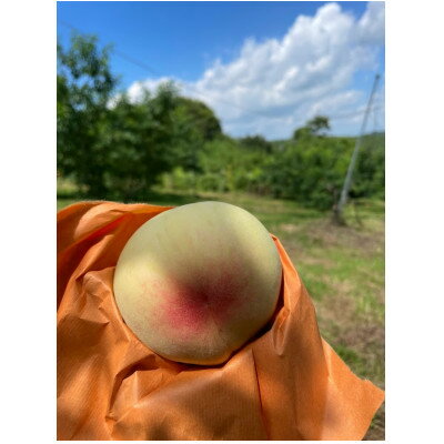 【ふるさと納税】【先行予約】岡山の白桃・約1.5kg(3～6玉)7月上旬頃から8月上旬発送予定【配送不可地域：離島】【1732439】