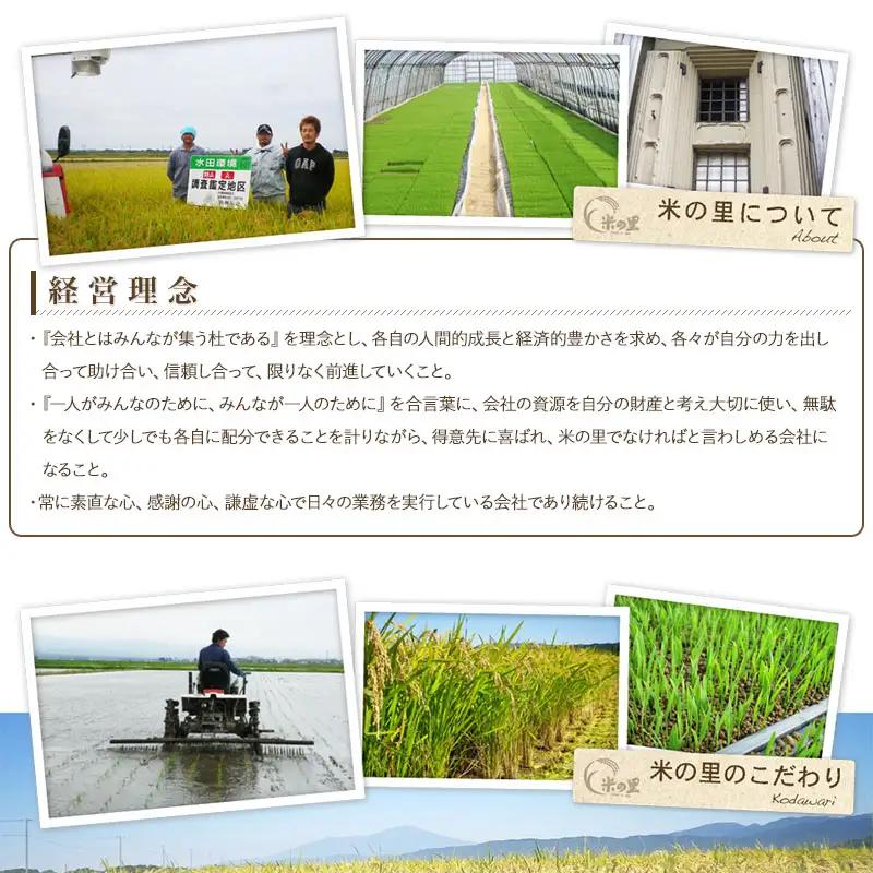 【令和8年産】 米の里の特別栽培米 つや姫 精米 15kg(5kg×3袋)　山形県鶴岡市産 | 白米 特栽 ブランド米 庄内 2026年産　K-8135